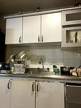 Selena Roa online show from January 2026 11:28:01 PM