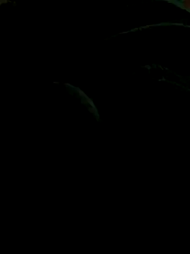 Smithy095 online show from November 2025 09:50:02 PM