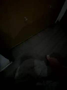 PiratingAqua online show from January 2026 10:07:02 AM