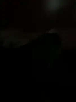 Snapshot of PassionCoupleLove chatting on October 2025 01:06:02 PM PassionCoupleLove online show from October 2025 01:06:02 PM