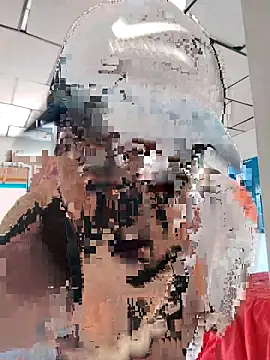 LAPOTRA 04 online show from April 2026 04:15:01 PM