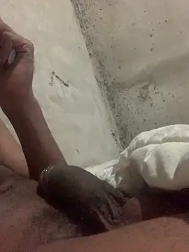 pirocudo121 online show from March 2026 08:22:02 AM