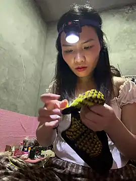 Yunzang online show from February 2026 01:01:02 PM