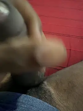 vijay20k online show from February 2026 10:03:02 AM