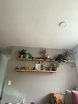 SugarTroubl33 online show from April 2026 03:24:02 PM