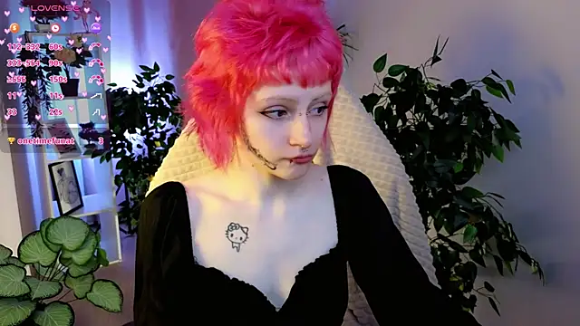 karkadeshk online show from April 2026 04:23:01 PM