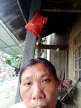 bella-la online show from November 2025 06:46:01 AM