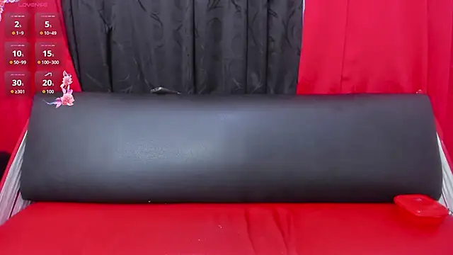 In my room anything goes online show from July 2026 04:09:01 AM