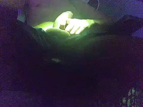 analice32456 online show from March 2026 06:52:01 AM