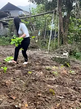 heodat-sexx online show from December 2025 09:38:01 AM