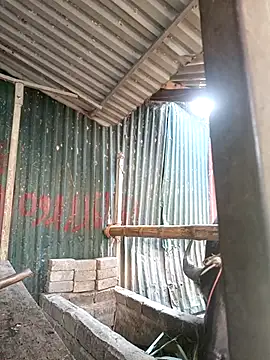 yoyo-mi online show from November 2025 12:56:02 AM