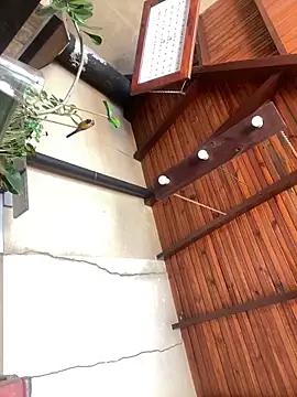 sabrinaneves online show from April 2026 04:06:02 PM