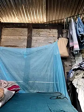 Soymaia online show from January 2026 02:32:01 PM