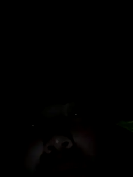 Nul-chal online show from January 2026 10:24:02 PM