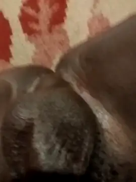 Reajune2001 online show from April 2026 02:09:01 PM