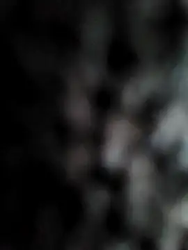 cum daily1 online show from April 2026 08:09:02 AM