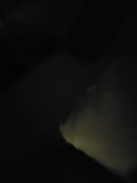 cum daily1 online show from June 2026 02:51:02 AM