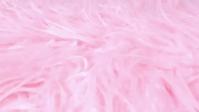 scarlett leblanc  online show from March 2026 11:59:02 AM