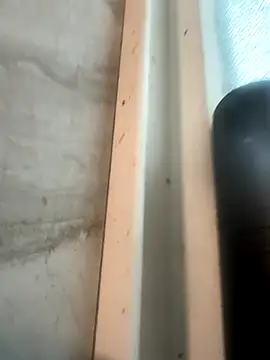 RobsBigD online show from October 2025 06:19:01 PM