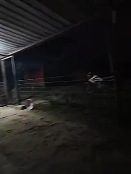 taylor1991V online show from December 2025 11:43:01 PM