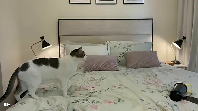 Itslillybloom online show from November 2025 04:22:01 AM