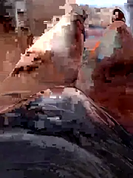 Vanja33 online show from November 2025 03:35:01 PM