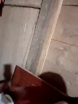 Bee-bgolden online show from November 2025 04:07:01 PM