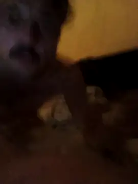 putosemlimiti online show from November 2025 11:58:02 PM