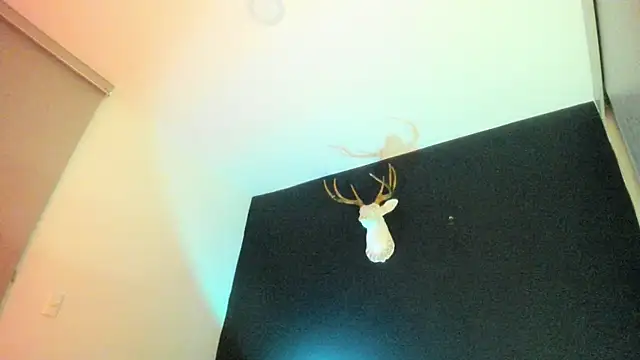 Zeus Jeff online show from February 2026 01:34:01 AM