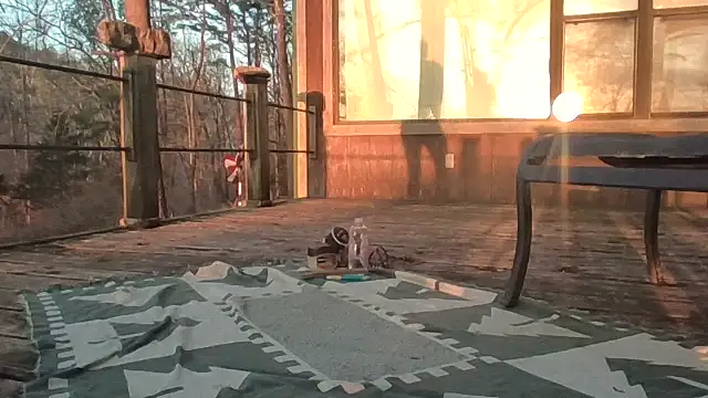 2099RivenXXX online show from February 2026 11:50:02 PM