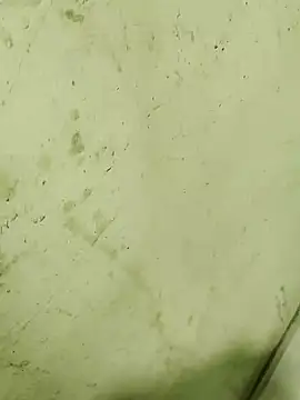 morewhenone online show from November 2025 11:43:02 AM