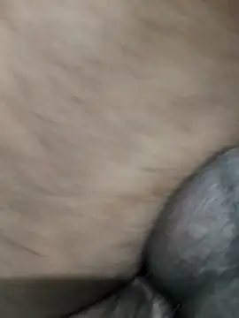 LEOMEGHA2026 online show from November 2025 04:51:02 PM