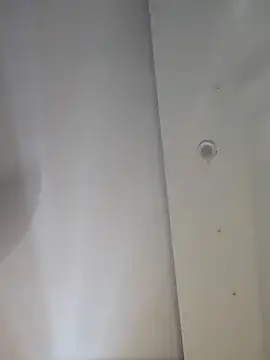 dishant 1686 online show from November 2025 10:36:02 AM