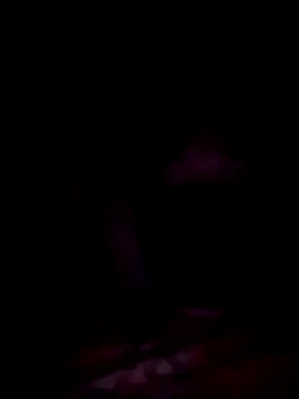 jacka 305 online show from November 2025 11:08:02 PM