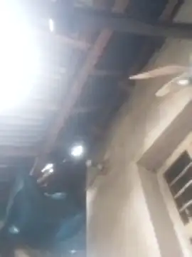 jacka 305 online show from January 2026 03:11:01 AM