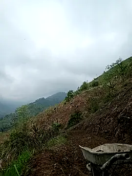 blonde blg online show from March 2026 03:33:02 AM