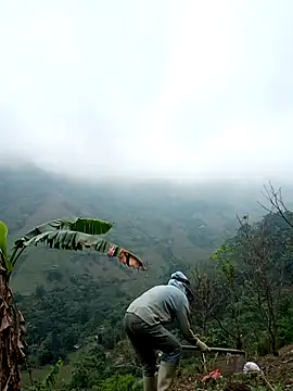 blonde blg online show from April 2026 02:36:02 AM