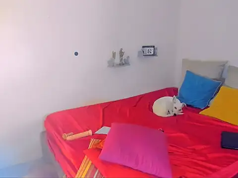 hotcassy online show from February 2026 09:57:02 PM