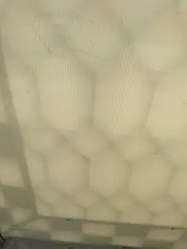 elqueteda lechita online show from April 2026 07:37:01 PM