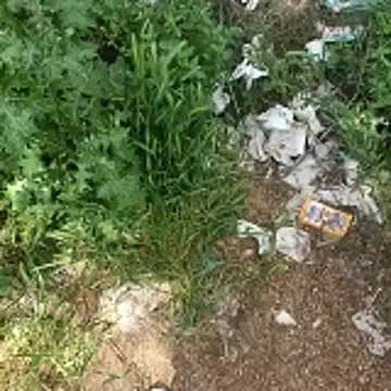 topman      online show from April 2026 10:14:02 AM