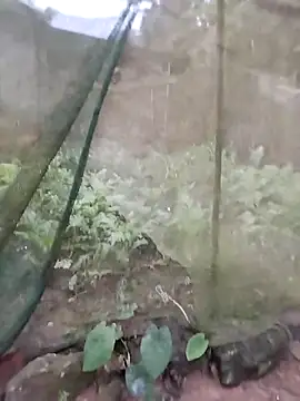 gugu0022 online show from February 2026 11:25:02 PM