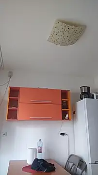 Dale E online show from January 2025 08:36:01 AM