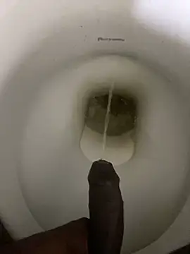 calibrow online show from January 2026 02:10:01 PM