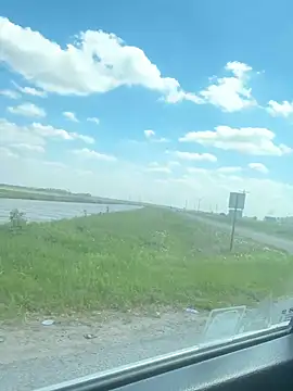 miatate online show from March 2026 08:01:02 PM