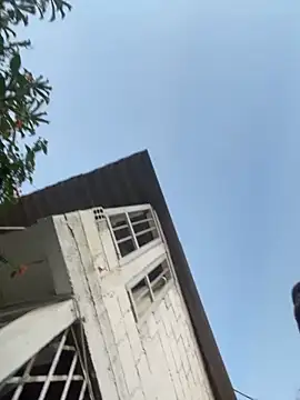 zyrastorm online show from November 2025 10:58:02 PM