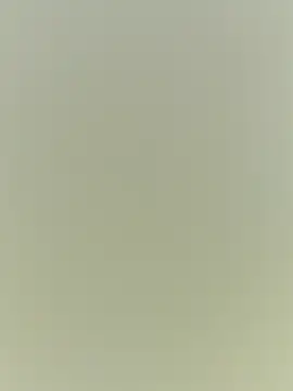 Rouse hot  online show from December 2025 03:24:02 AM