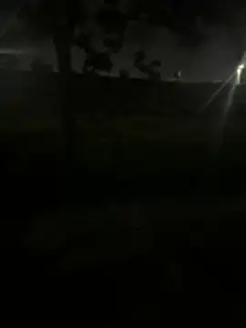 black-1406 online show from March 2026 03:34:02 PM