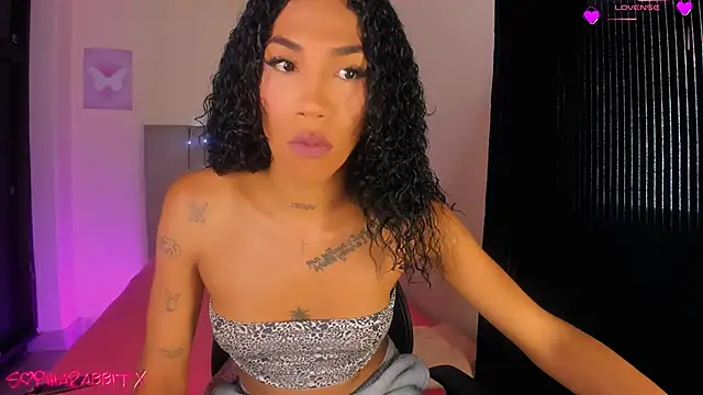  Larabbitxx online show from November 2025 04:33:01 PM