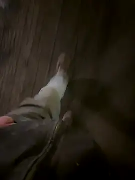 Phil-jae online show from November 2025 07:18:01 AM