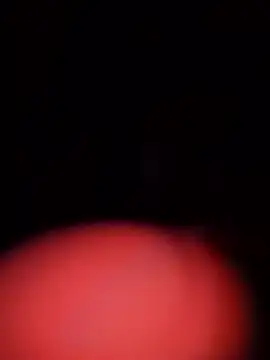 kevin melo online show from January 2026 03:43:01 AM